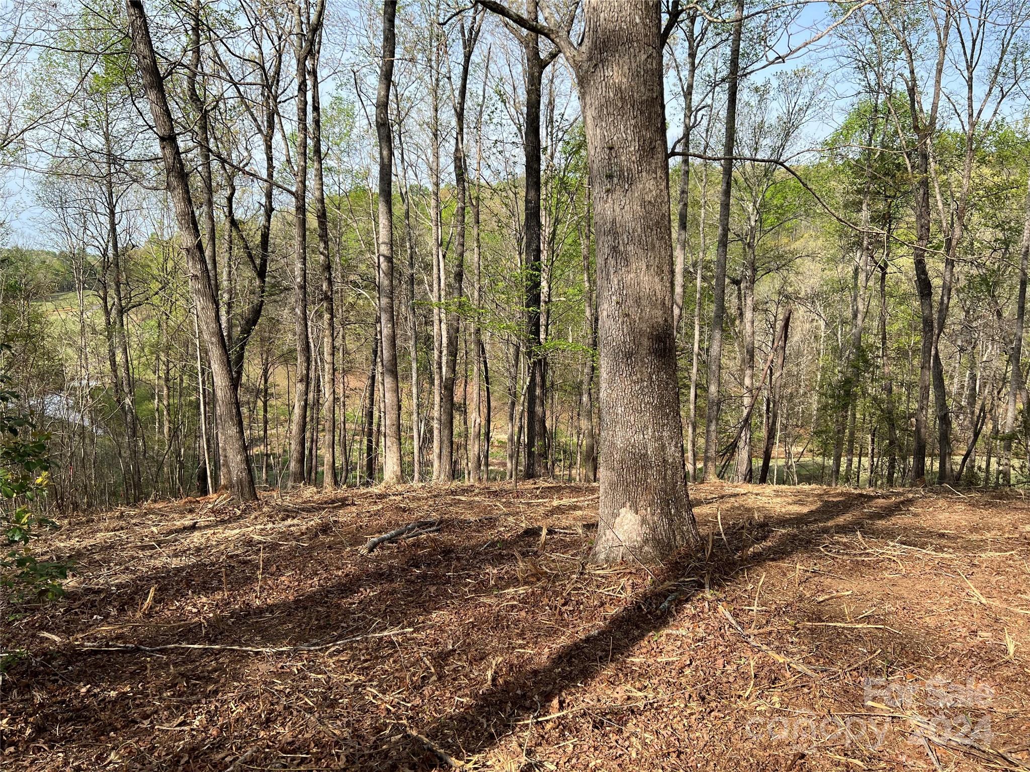 Cleghorn Plantation - Land