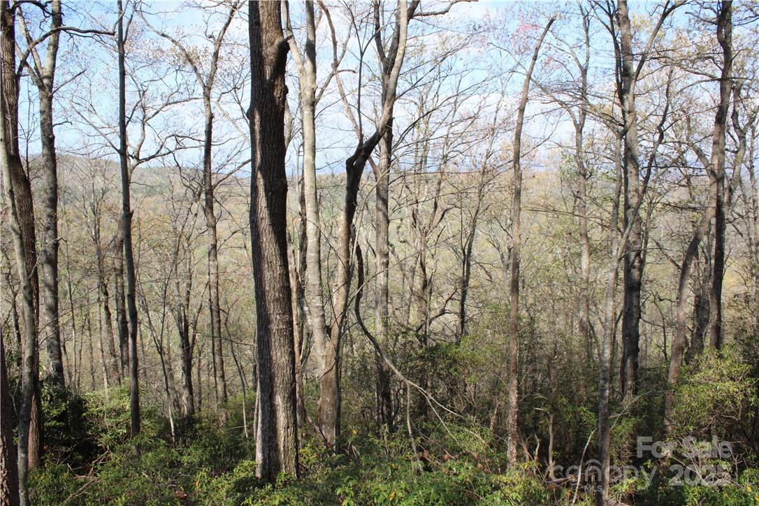 TBD Oak Ridge Road 17