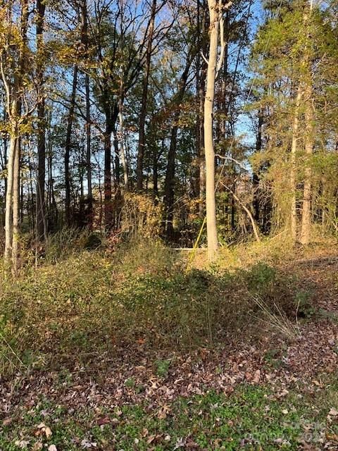 191 wildwood Loop Statesville NC 28625
