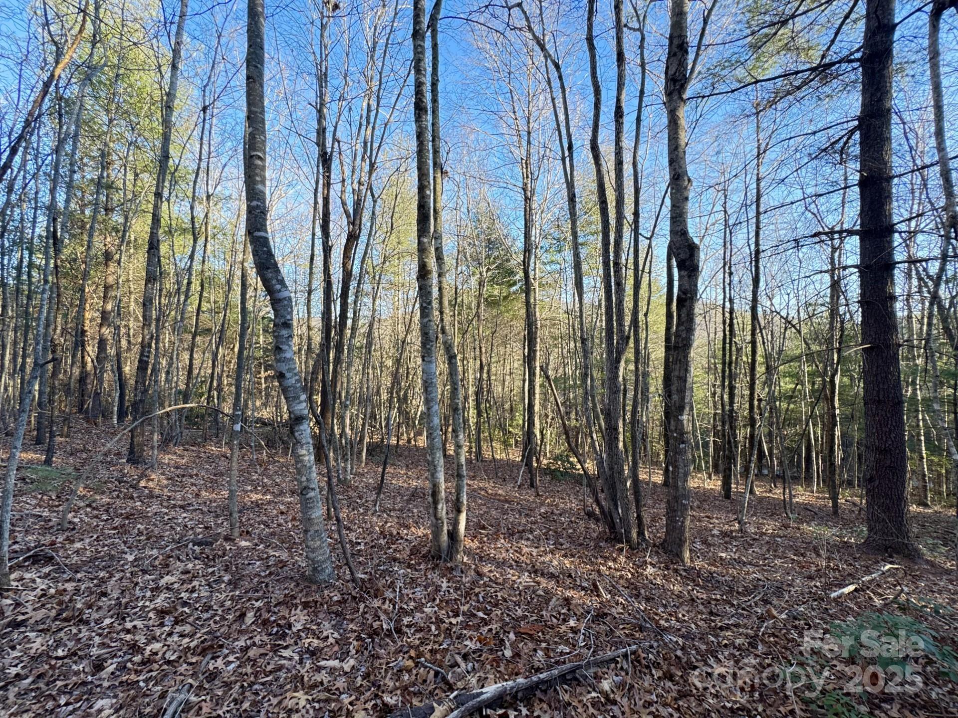 0000 Pebble Stone Trail 46