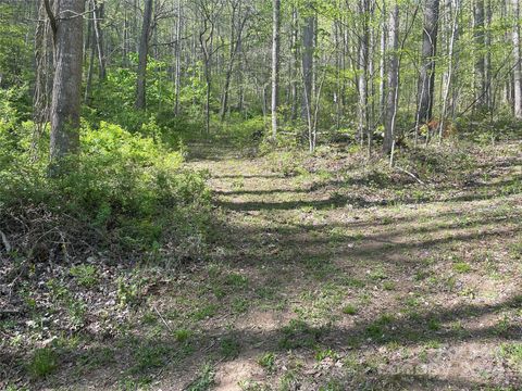 0 Martins Creek Road Barnardsville NC 28709