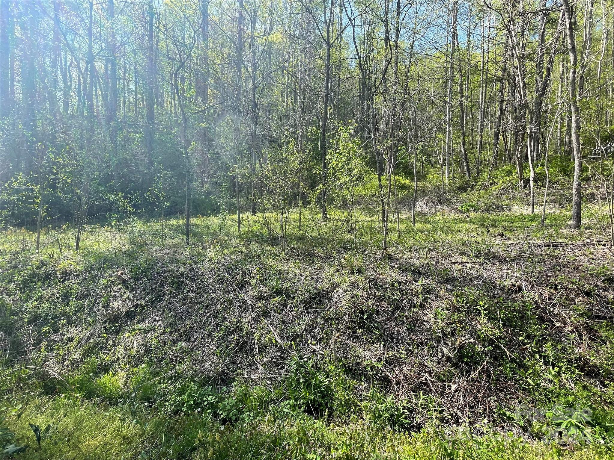0 Martins Creek Road