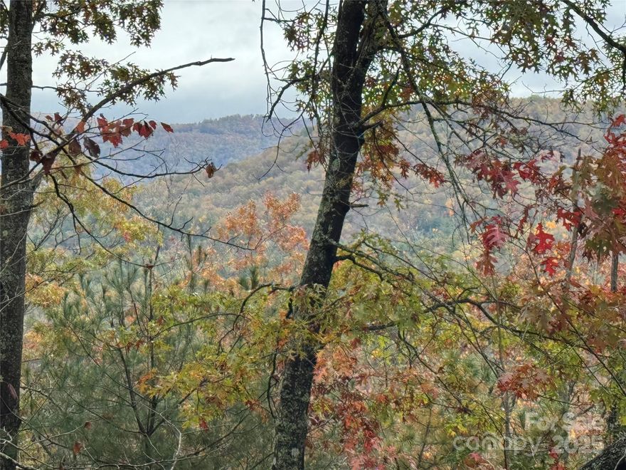 One of the limited remaining unrestricted properties in this area, offering long-range mountain views of 180 degrees or more. This tract provides excellent privacy, creek frontage, wooded acreage, and multiple potential building sites. The land is suitable for a private estate, family compound, or possible development, depending on your needs and vision.

Located just minutes from Hwy 280, the property offers convenient access to Brevard, Pisgah National Forest, the Asheville Airport, Mills River, and Hendersonville. Outdoor recreation is close by with DuPont State Recreational Forest, hiking and biking trails, and trout fishing on the East Fork and surrounding waters. Nearby amenities include local breweries, restaurants, shops, and a strong local arts community. A versatile property in a highly desirable location of Western North Carolina.