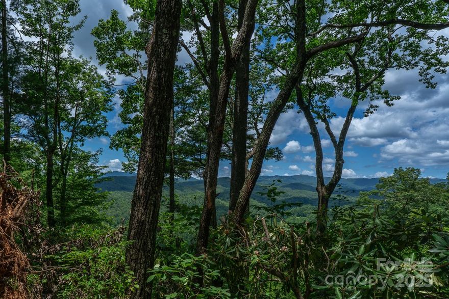 Come enjoy this quiet lot, with Grandfather Mountain view just off the Yadkin River. This 2.81-acre lot provides the mountain experience without the extreme weather. Offering peace, privacy, and a beautiful view. The property is 15 minutes from Blowing Rock and minutes the Blue Ridge Parkway. A quiet gated subdivision with community amenities that include river access, outdoor pavilion, rock fireplace, kitchen, and grilling area. Short-term rentals permitted. Soil evaluation completed on the property for a 4 bedroom permit.