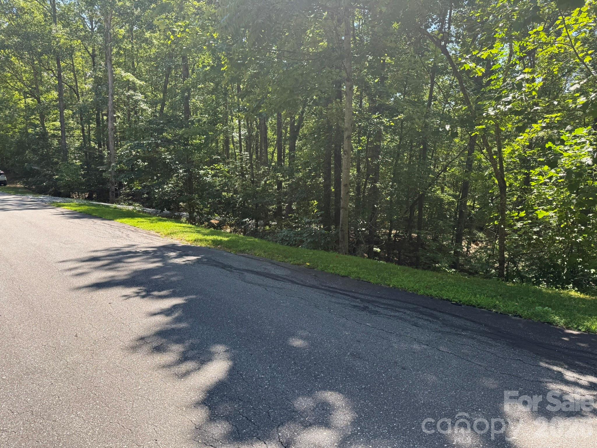 V/L Forest Country Drive 34