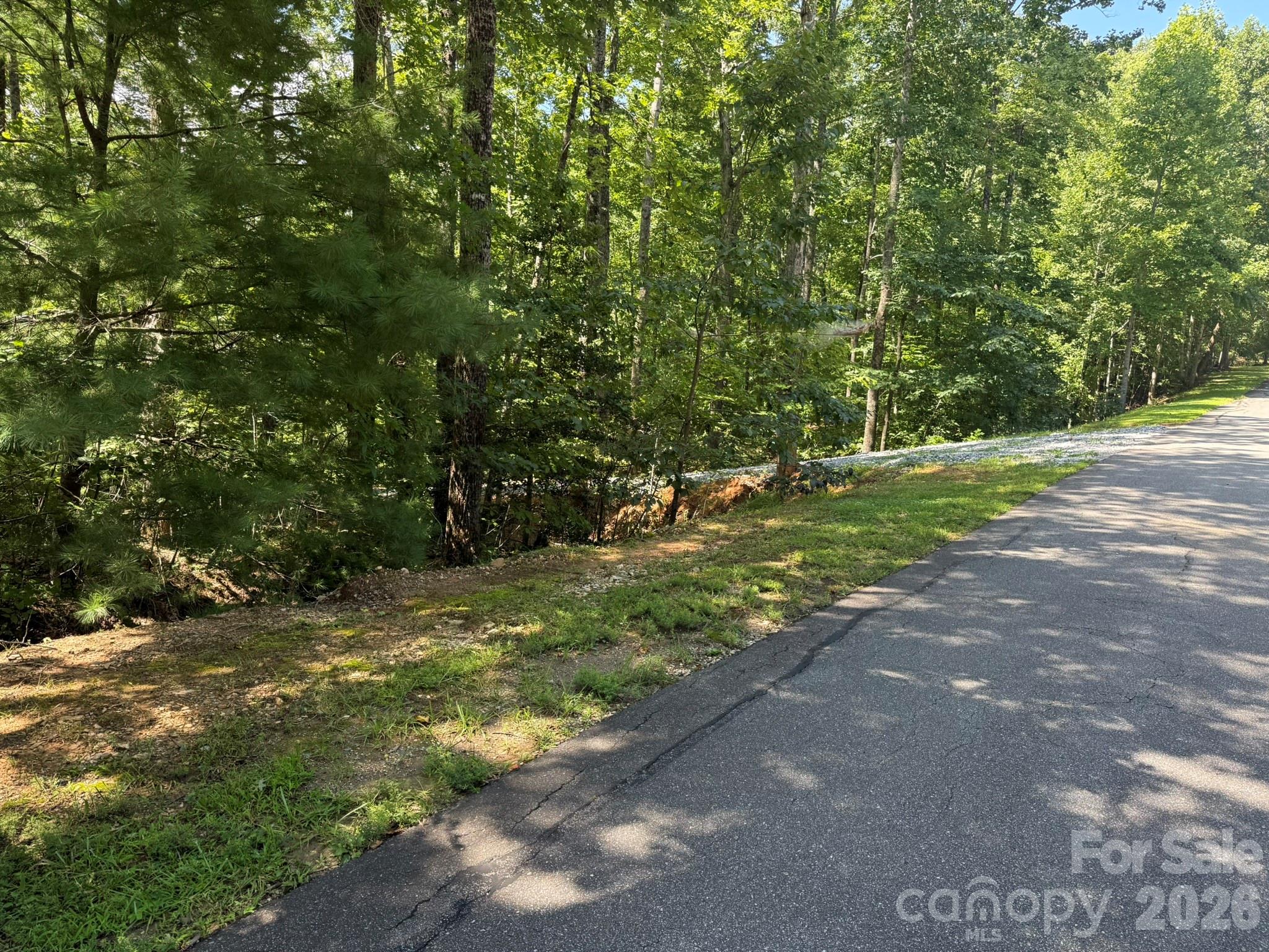 V/L Forest Country Drive 34