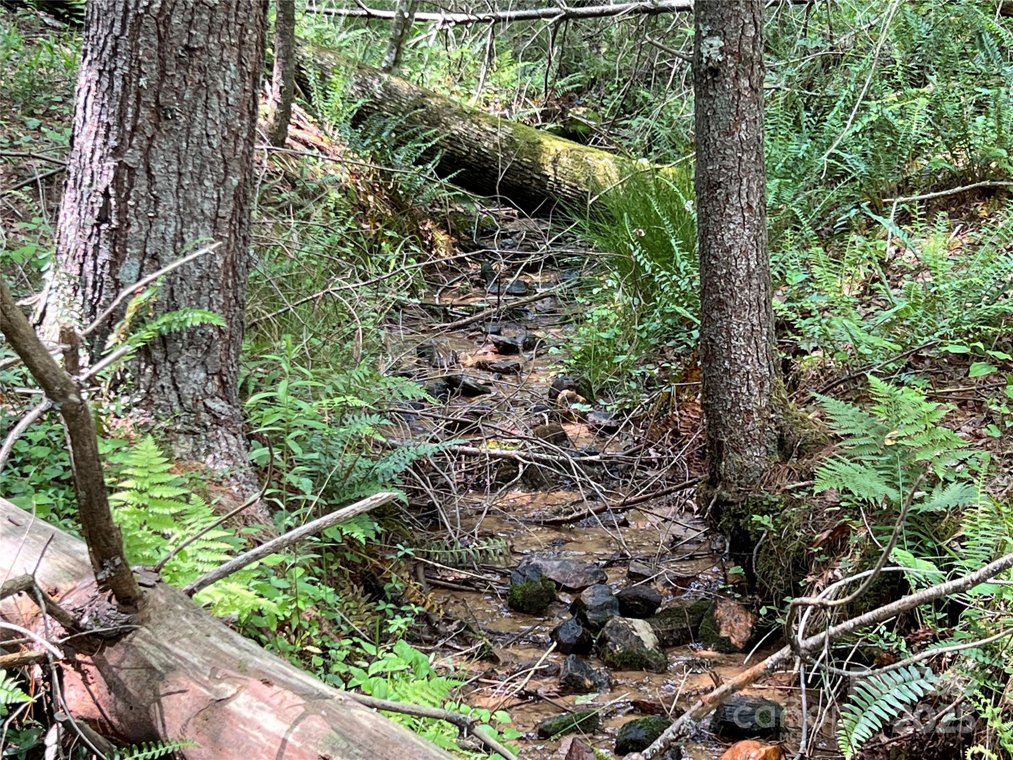 TBD Maines Hill Lane