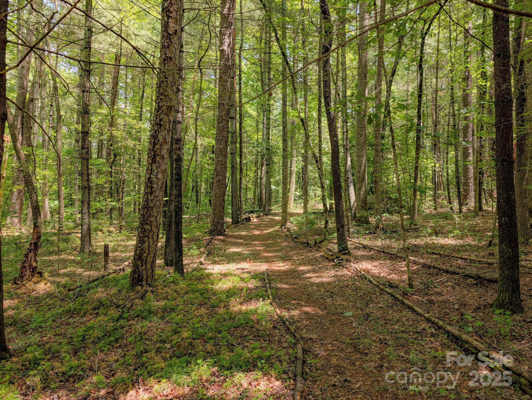 3374 Locust Grove Road
