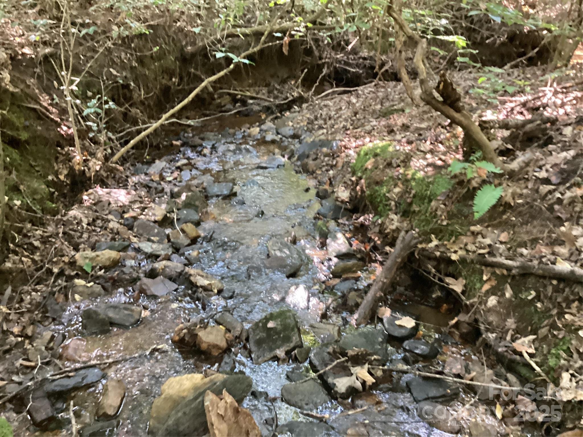 00 Chestnut Oak Trail