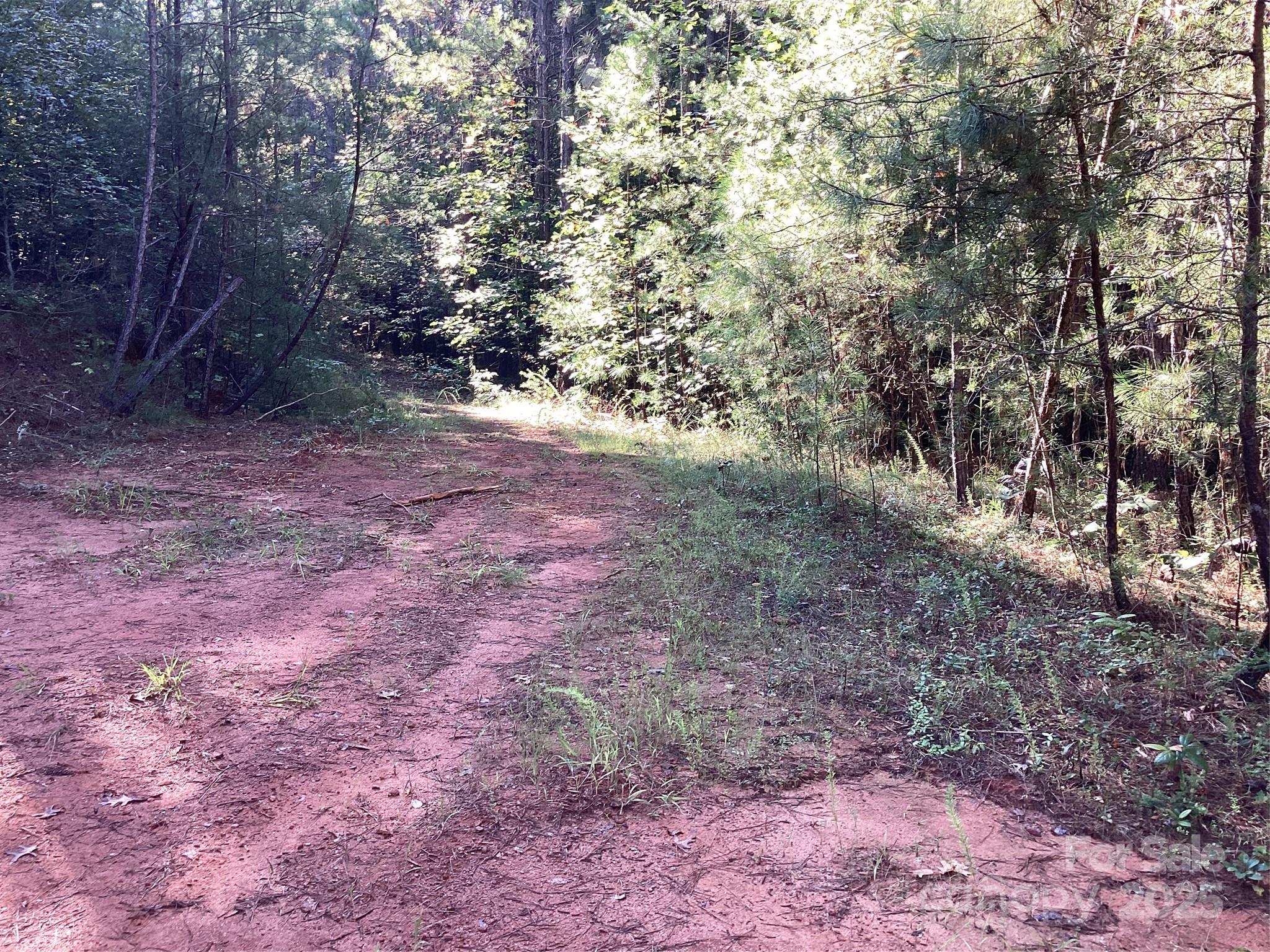 00 Chestnut Oak Trail