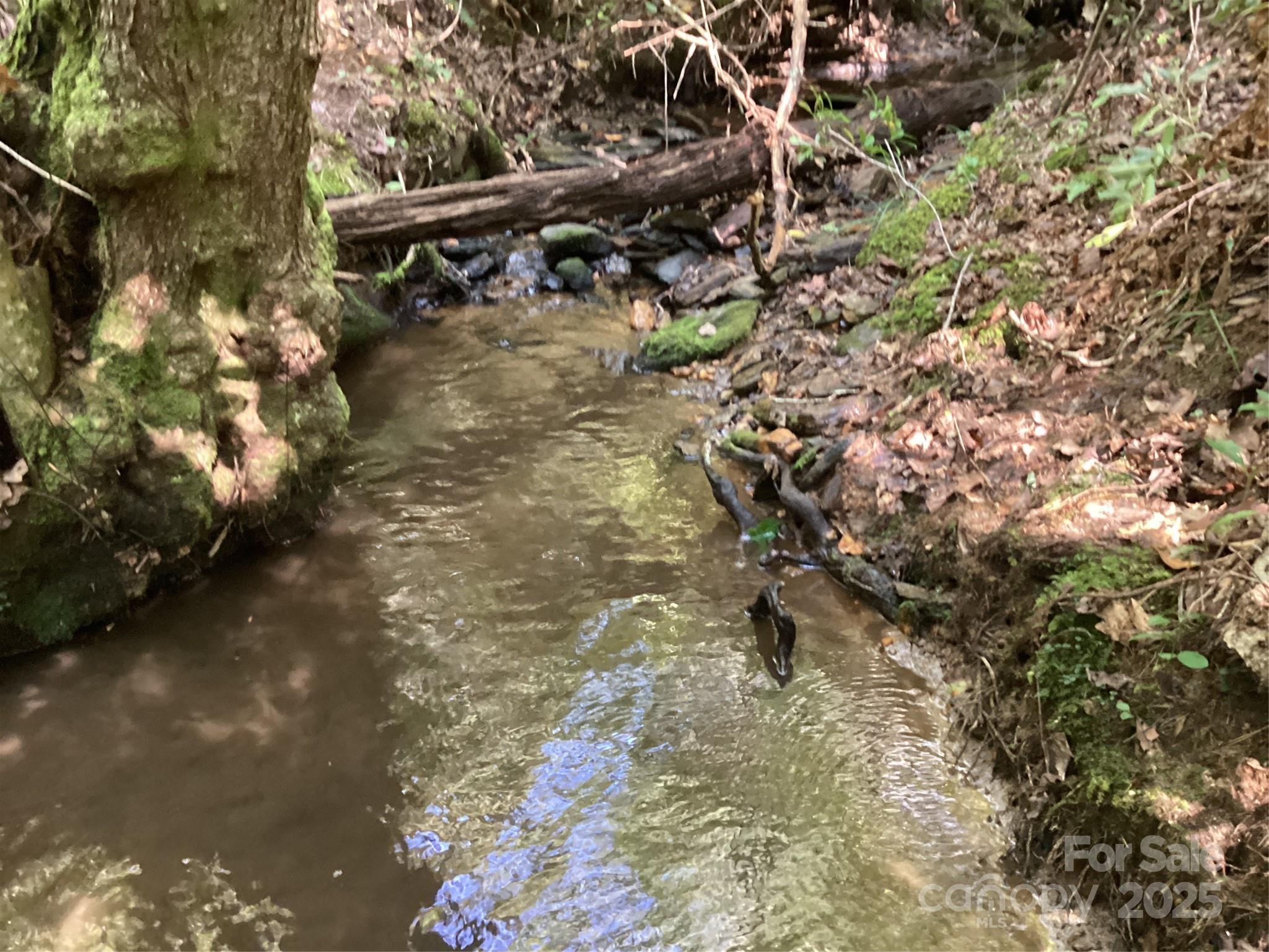 00 Chestnut Oak Trail