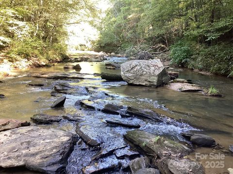 00 Chestnut Oak Trail Mill Spring NC 28756