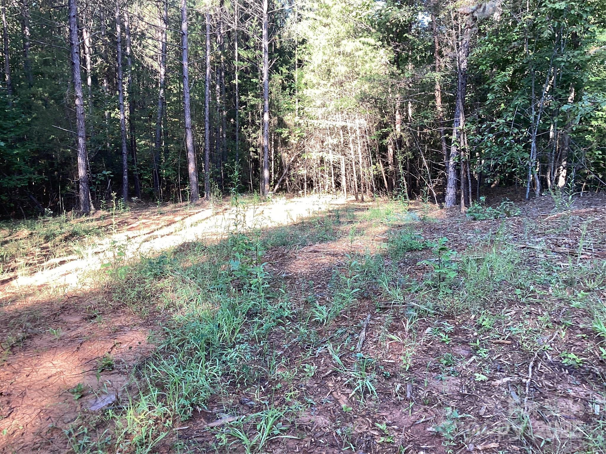 00 Chestnut Oak Trail