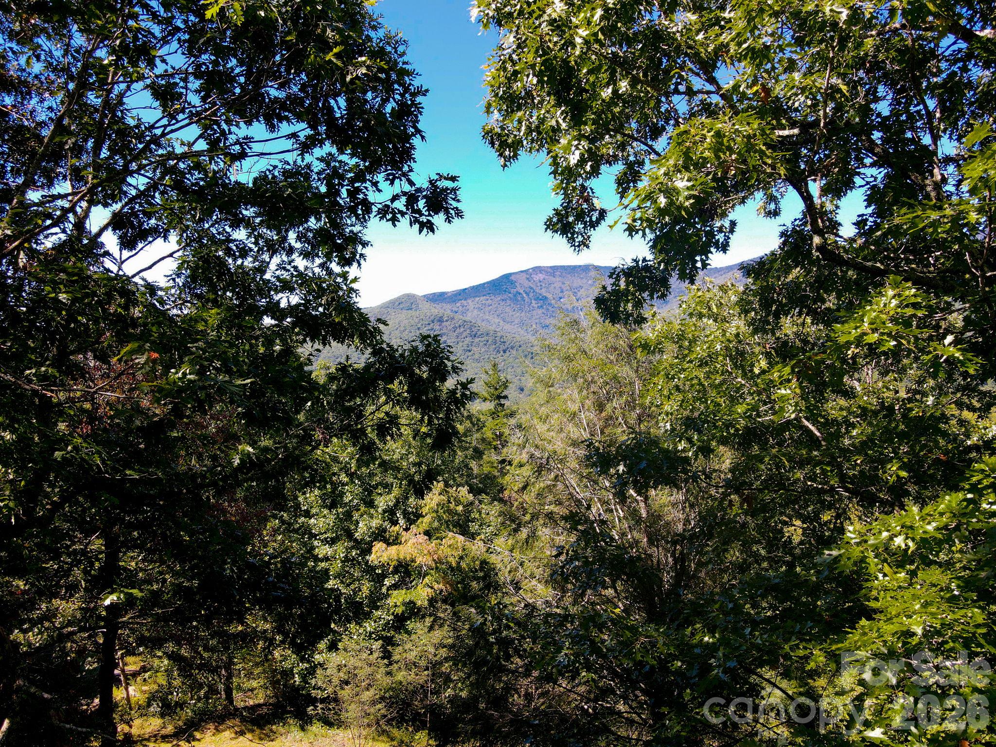 335 Mt. Mitchell Drive