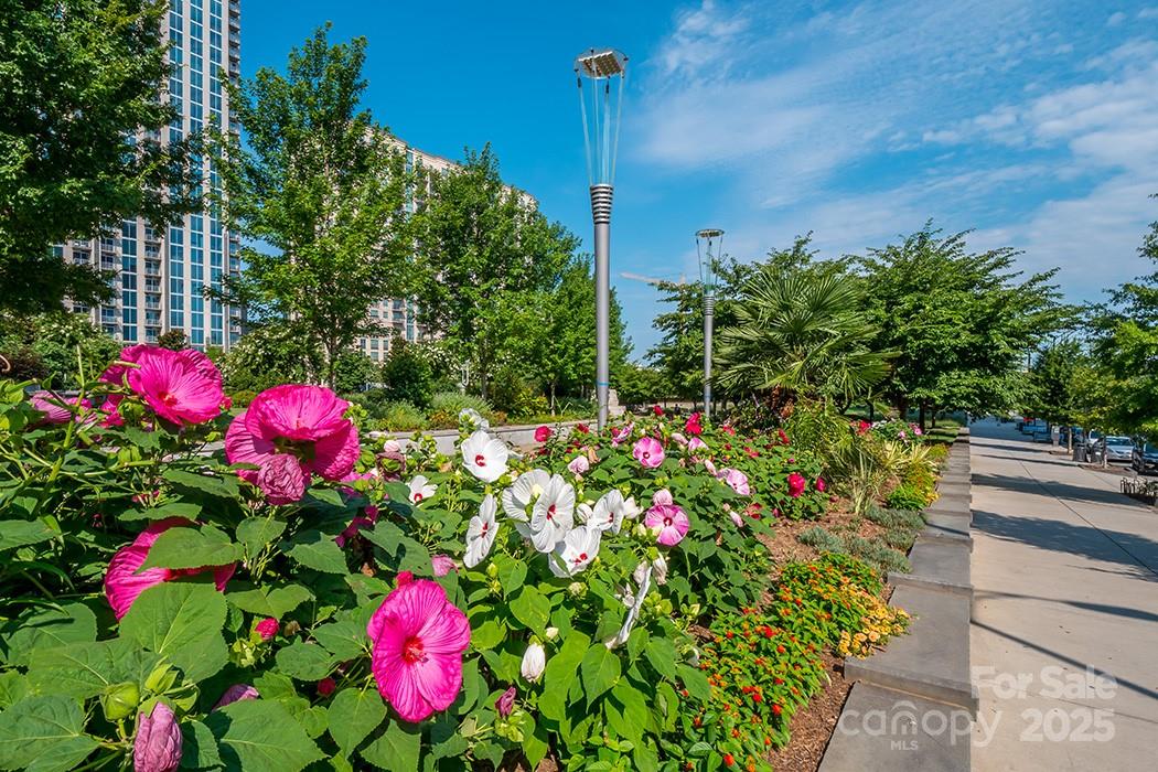 Court 6 - Residential