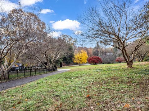 A home in Tryon