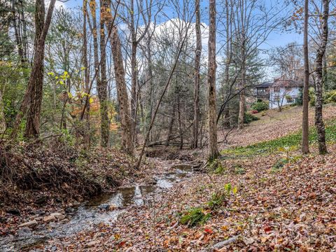 A home in Tryon