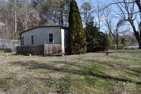 20 Red Berry Trail Swannanoa NC 28778