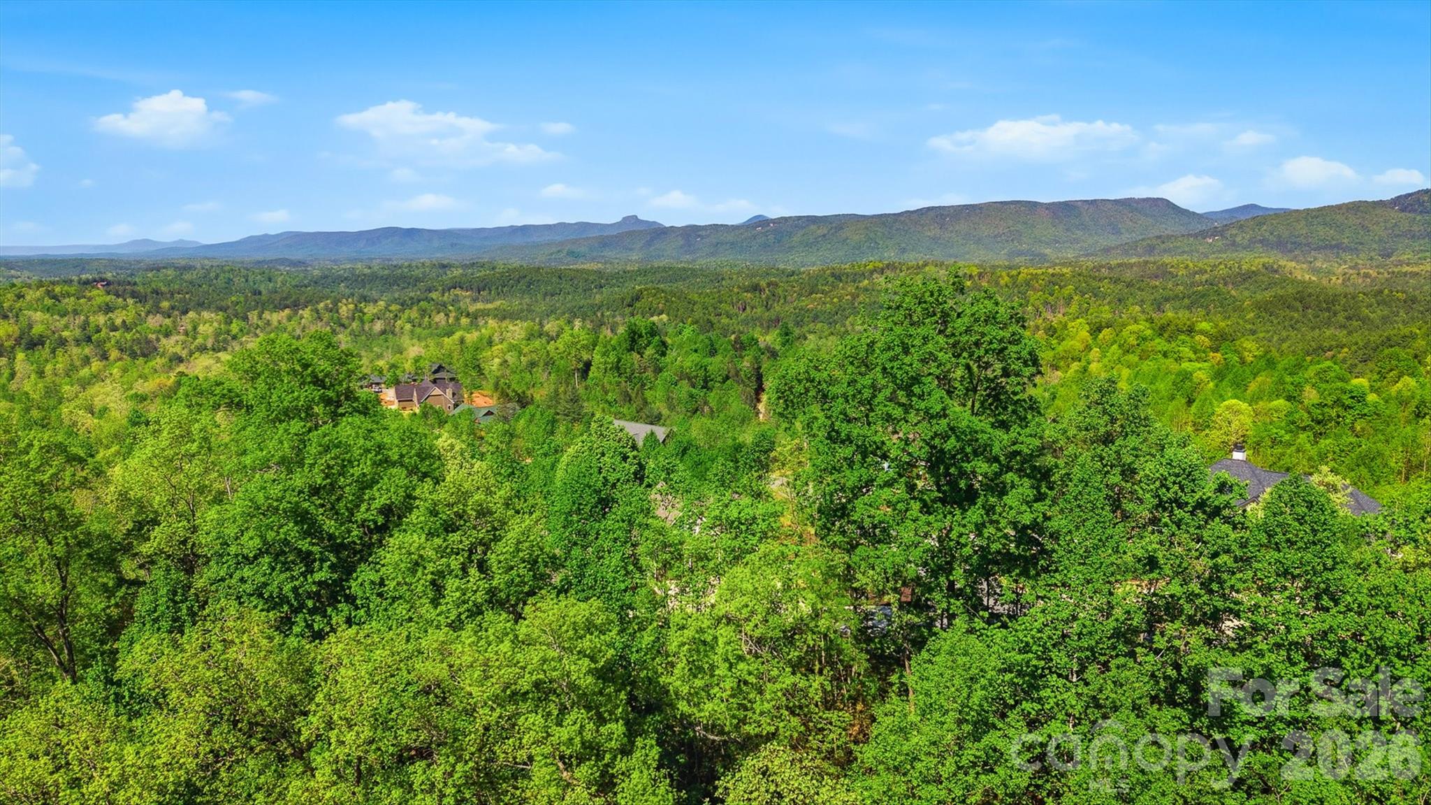 The Coves Mountain River Club - Land