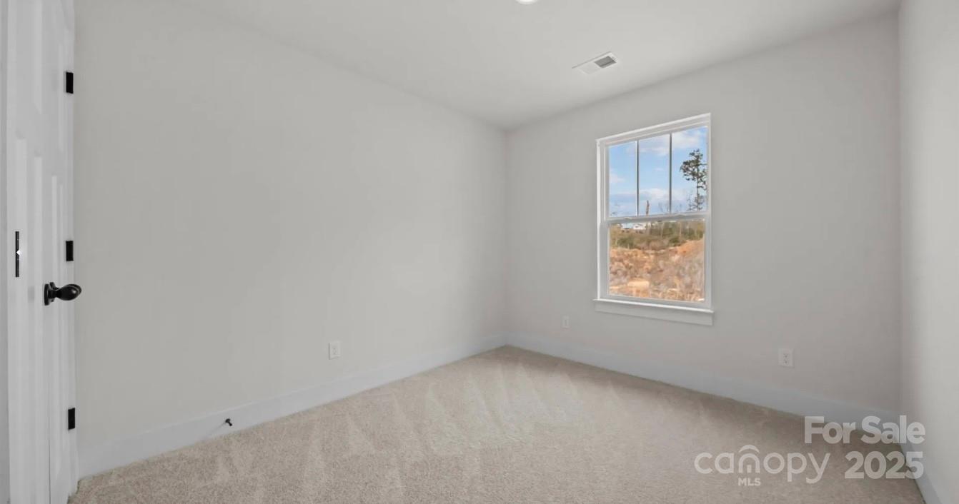 The Farms at Bellingham - Residential