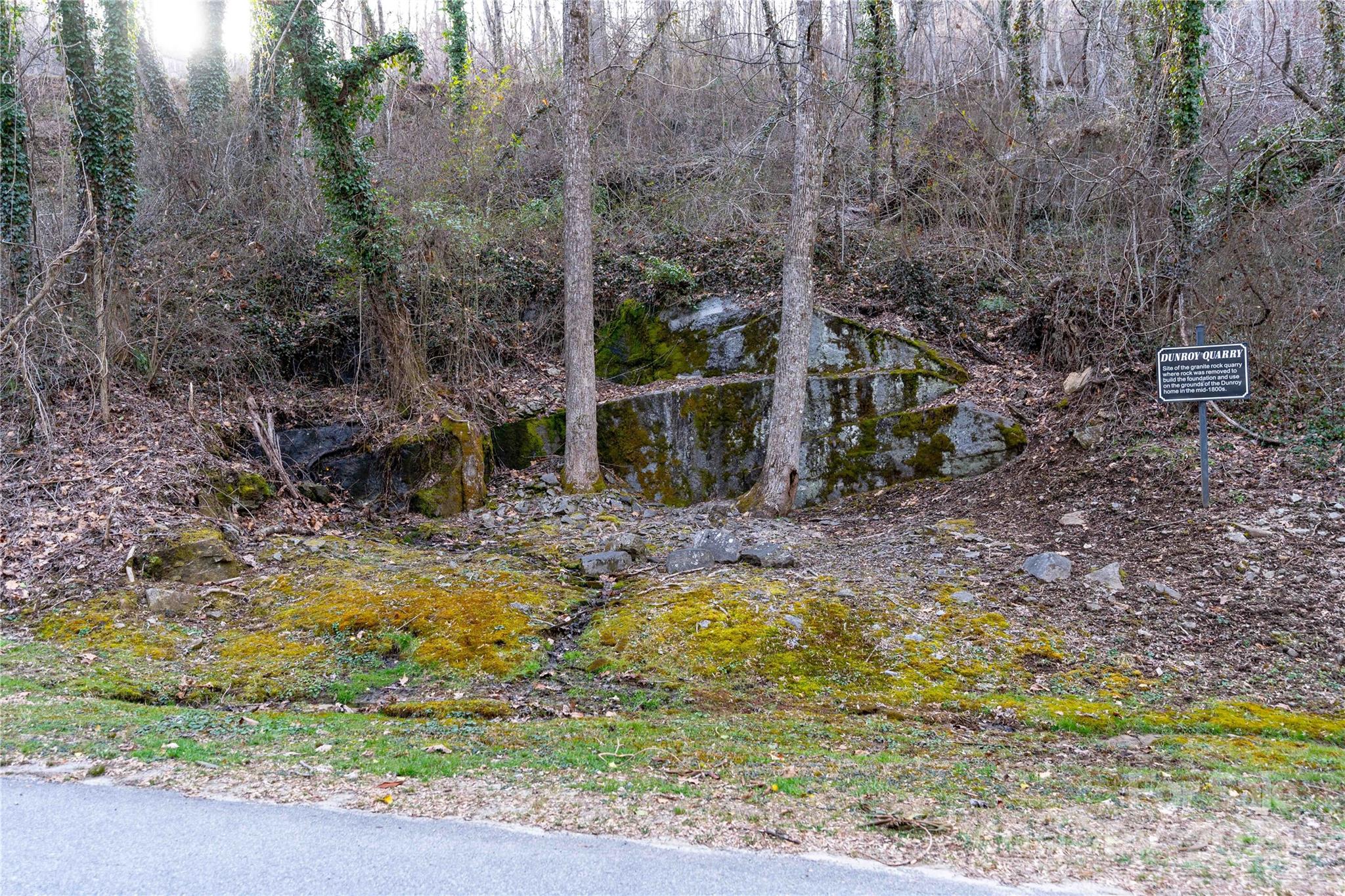 Dunroy On Rutledge - Residential