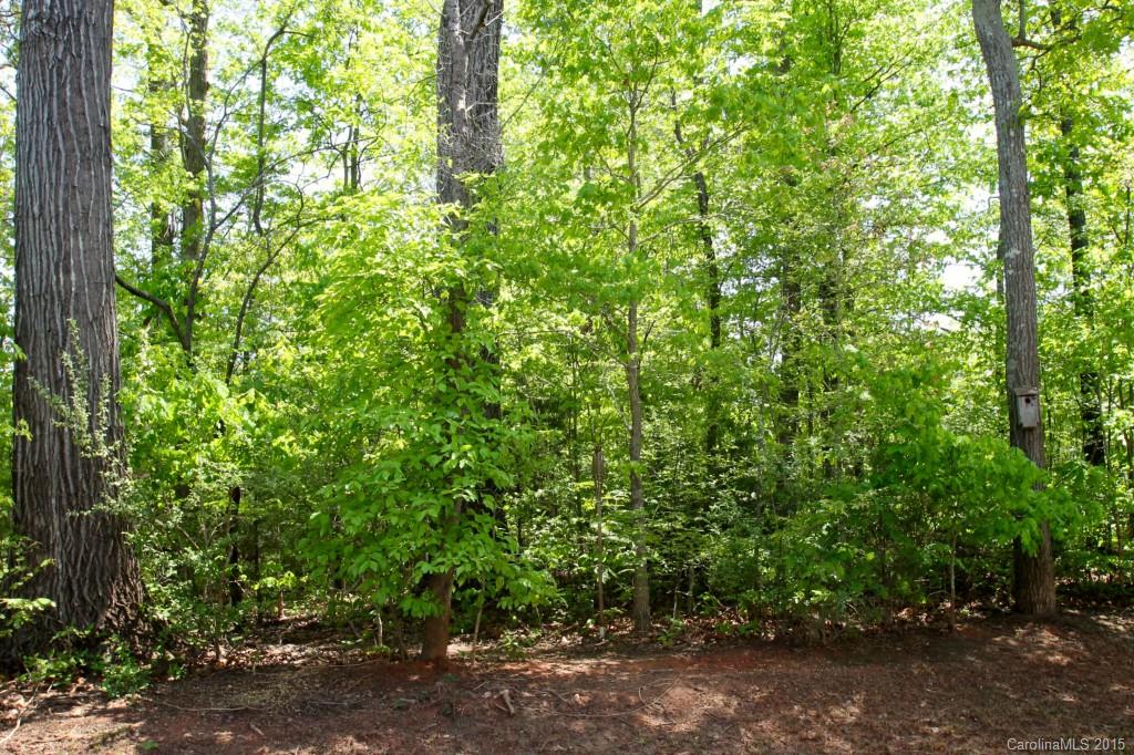 Stowe Pointe - Residential