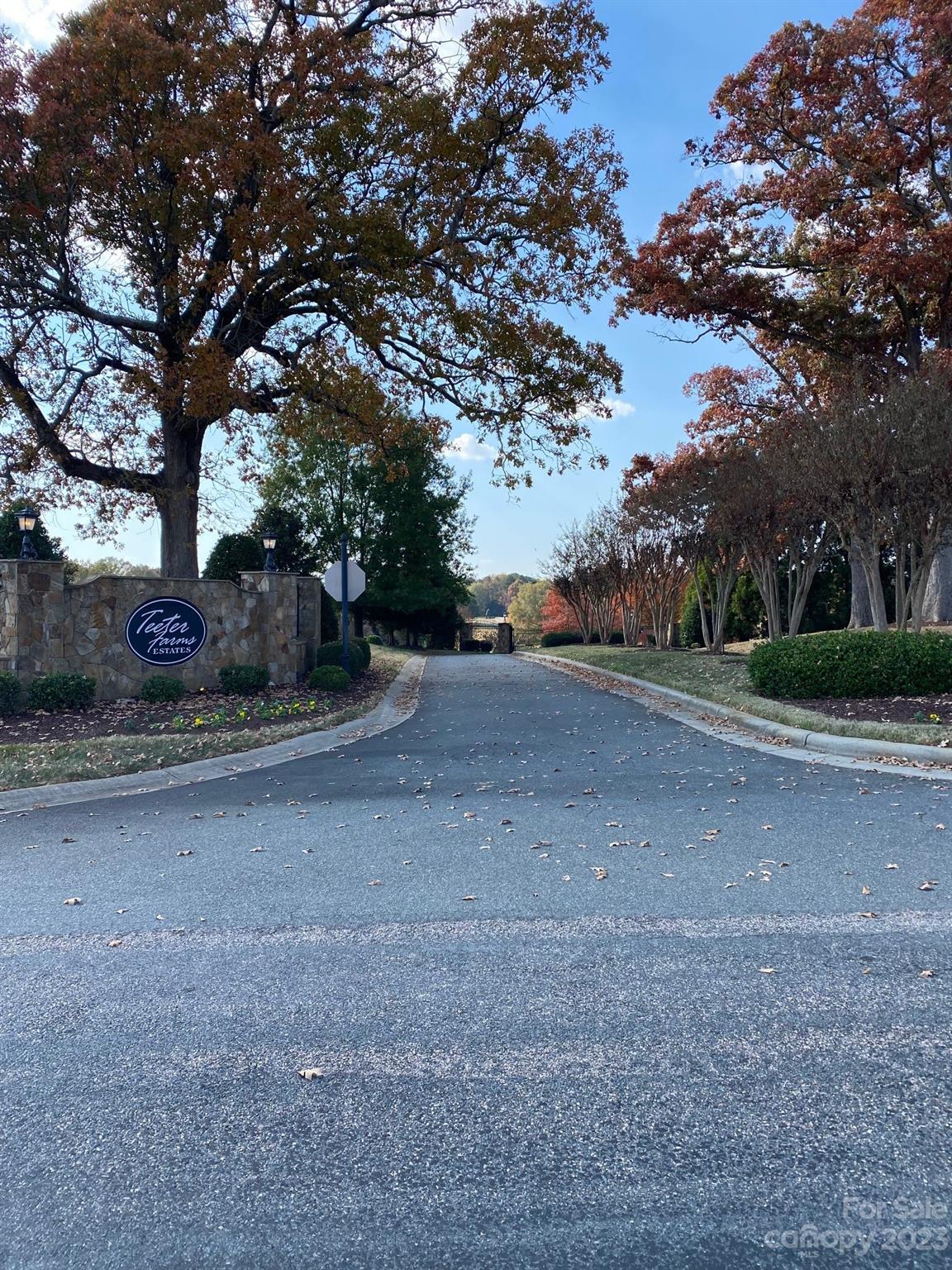 Teeter Farms Estates - Land