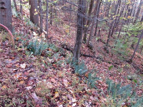 E- 15 Red Wolf Run None Mars Hill NC 28754