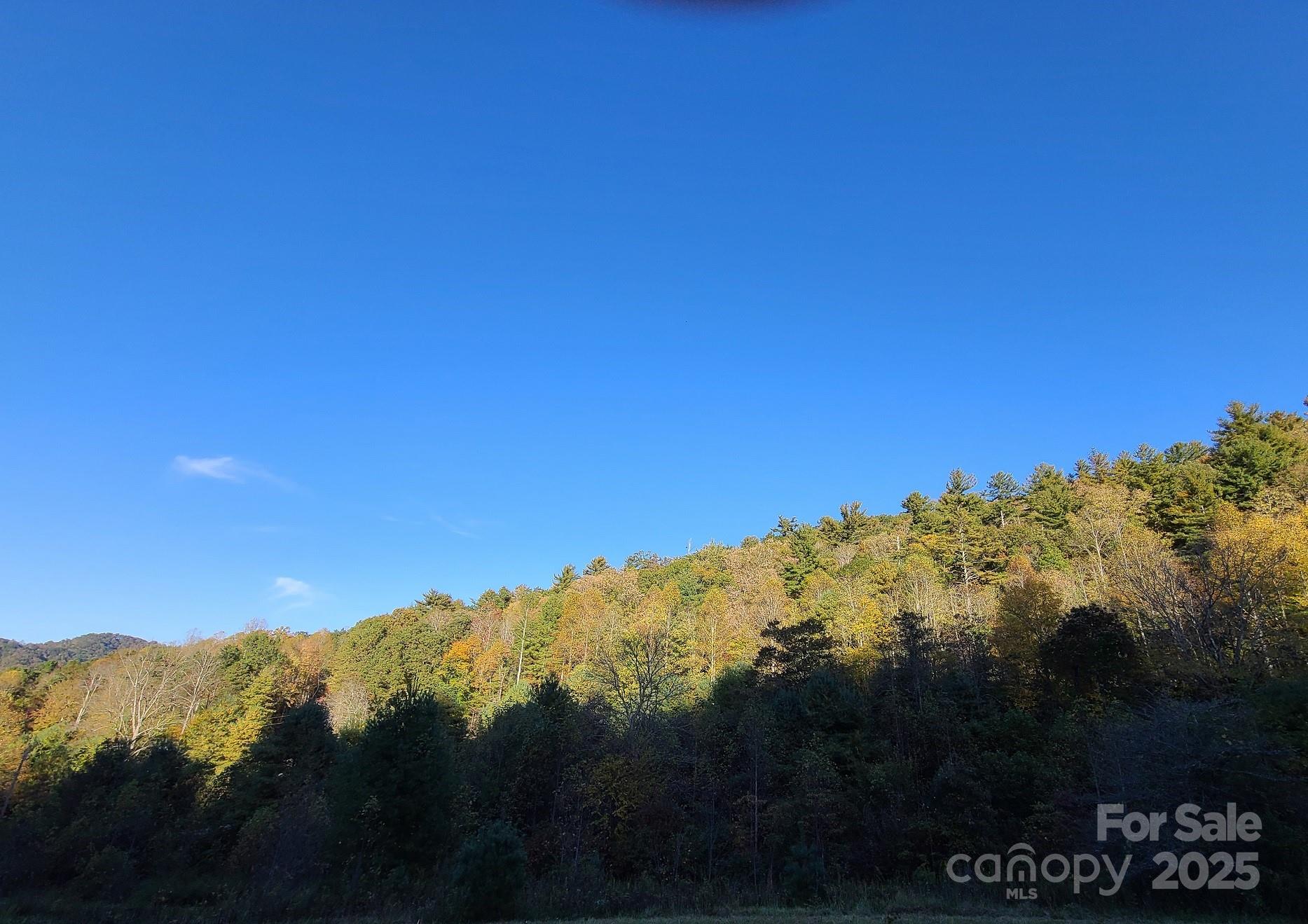 Tracts 2A & 2B Rabbit Skin Road Tract 2A & 2B