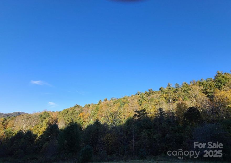 Experience stunning mountain vistas overlooking the picturesque Pigeon River Valley from these two beautiful 10± acre tracts on Rabbit Skin Road, being sold together for a total of 20+/- acres at one price. Featuring older mixed-growth hardwood forest from a historic Circa-1865 Appalachian farm, this land is rich in story and character,history available upon request. With generous paved road frontage and no restrictions, the property offers exceptional flexibility. Ideal for a private estate, investment, or even a tiny home community. Clear select trees to reveal year-round, long-range mountain views. Located just 3 minutes from I-40 yet with no road noise, this land provides peaceful seclusion while maintaining easy access to Western North Carolina’s and Eastern Tennessee’s best attractions. Enjoy the Great Smoky Mountains National Park, Cataloochee Ski Area, trout fishing along the Pigeon River, and the charming shops and restaurants of Maggie Valley and Waynesville. Explore the Blue Ridge Parkway, attend festivals in nearby Cherokee, or visit Pigeon Forge, Dollywood, and Sevierville. Spend a day enjoying Asheville’s vibrant arts scene, breweries, and dining, all within about 40 minutes. A rare blend of beauty, history, and opportunity, don’t miss it!