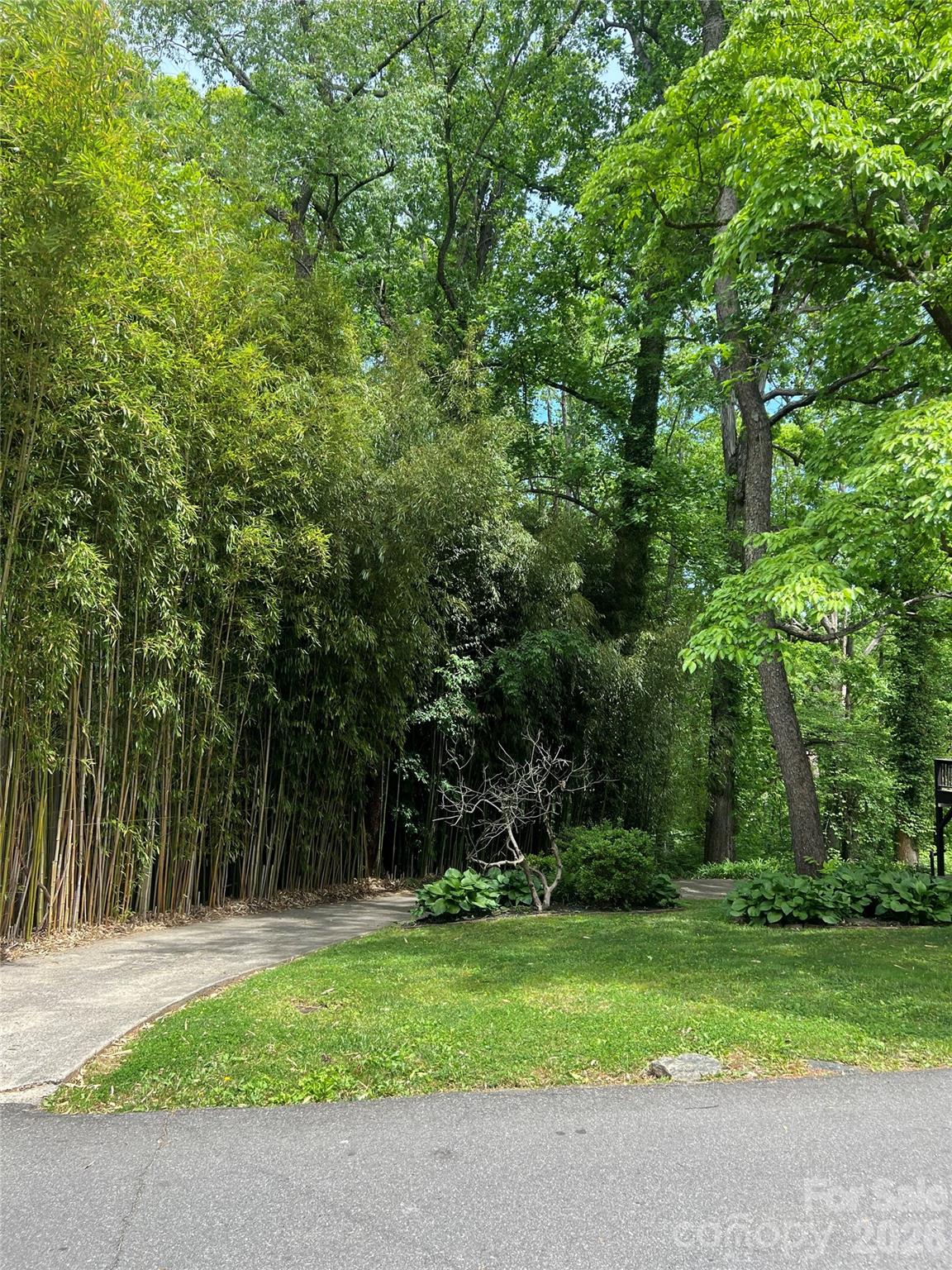 41 Chiles Avenue Lot 2