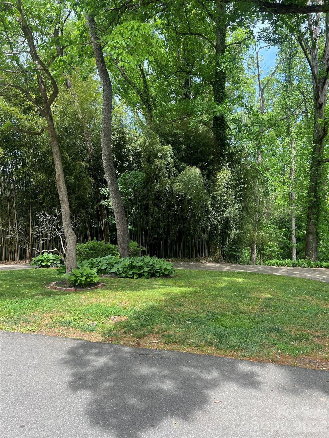 41 Chiles Avenue Lot 2