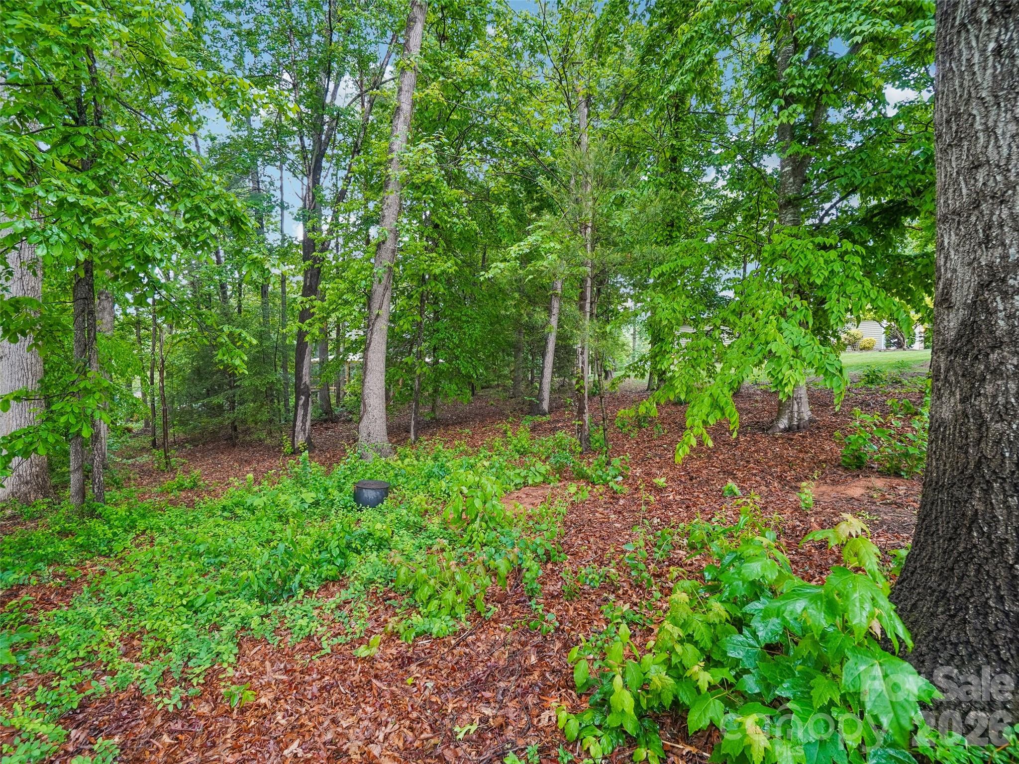Forest Knoll - Residential