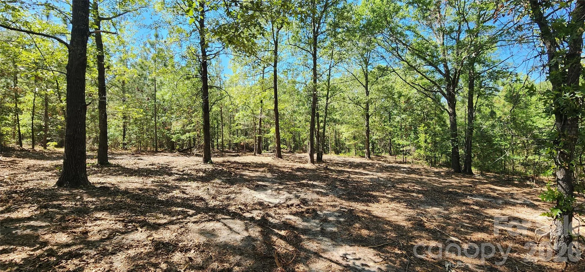 1050 Mcqueen Road, Patrick, SC, 29584
