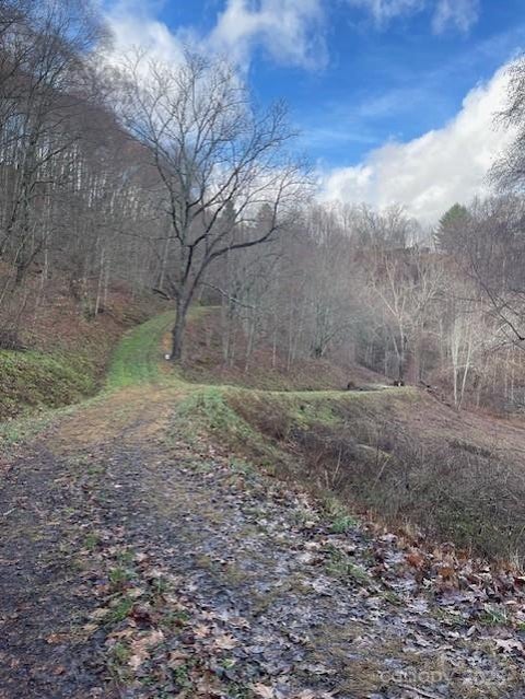 Photo for 0 Hardwood Cove 100