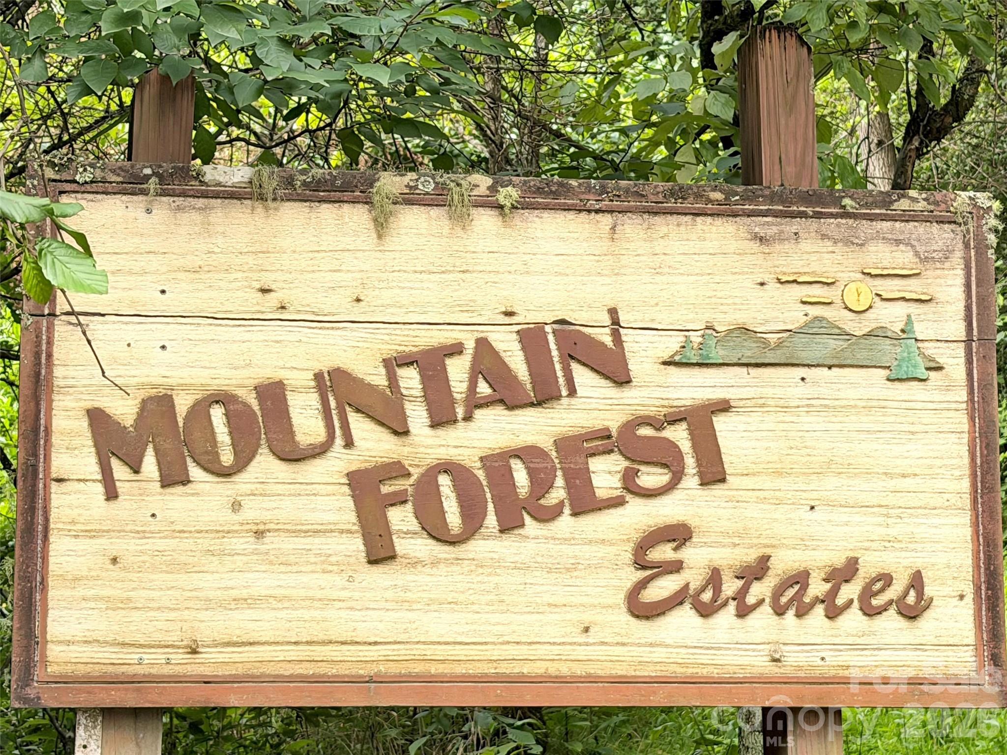 477 Mountain Forest Estate