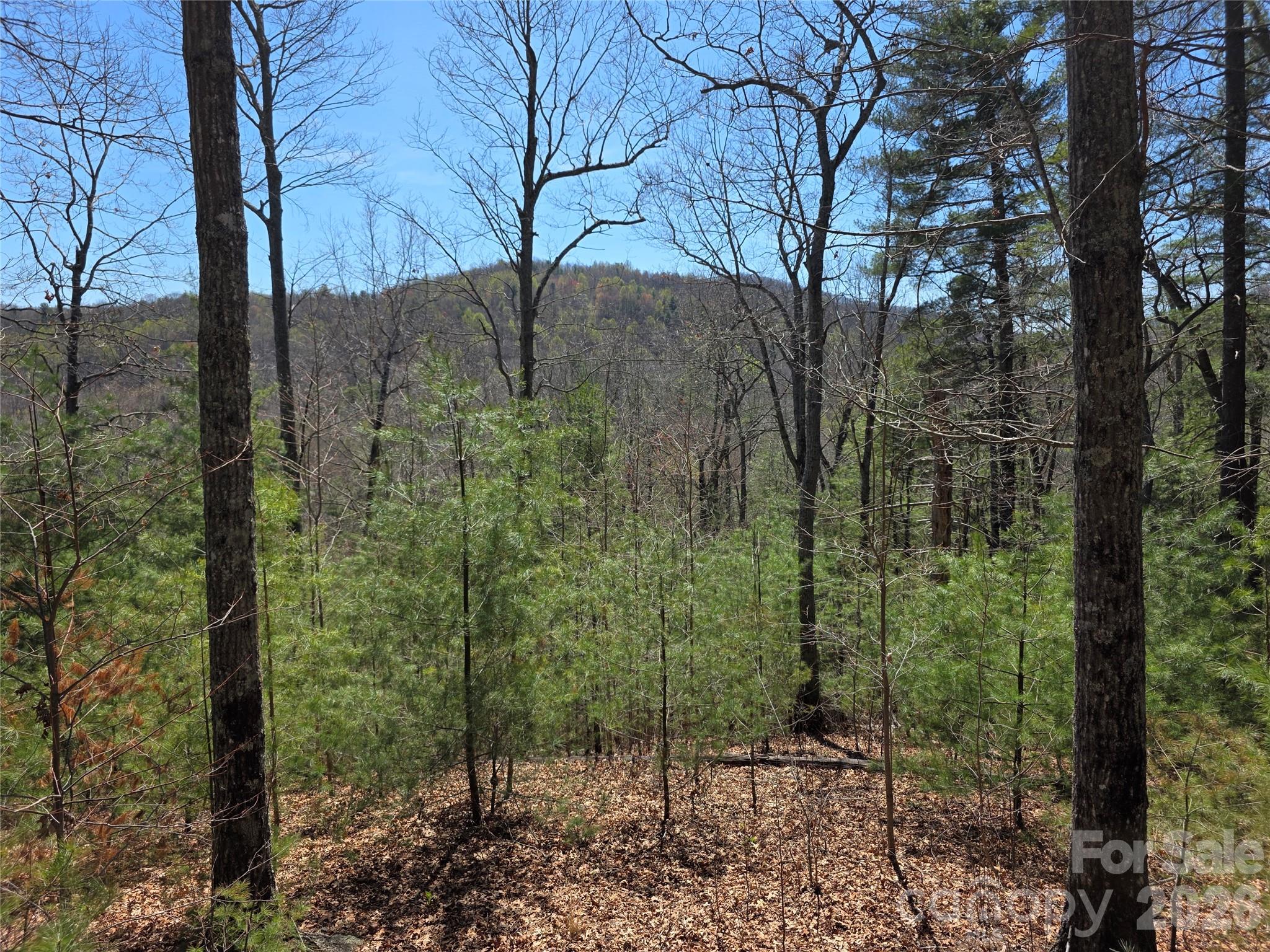 LOT 21 BIG RAVEN Lane 21