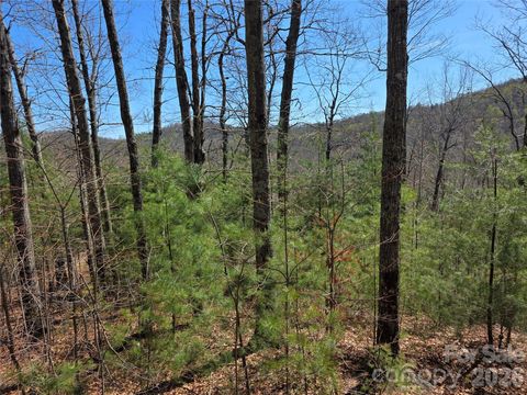 LOT 21 BIG RAVEN Lane 21 Saluda NC 28773
