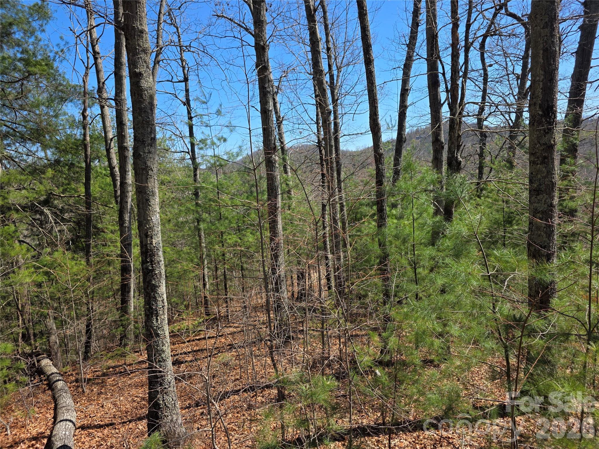 LOT 21 BIG RAVEN Lane 21