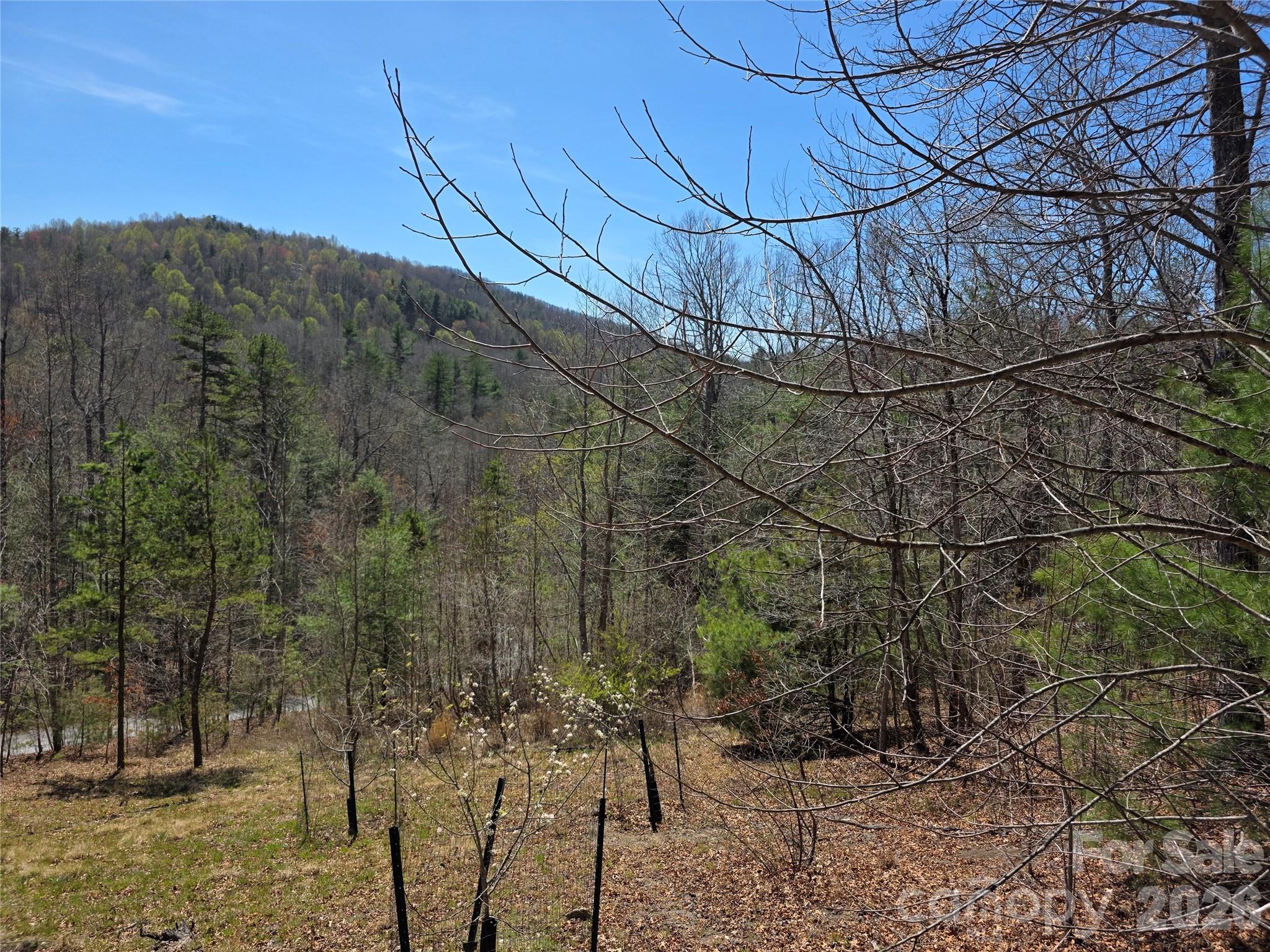 LOT 21 BIG RAVEN Lane 21