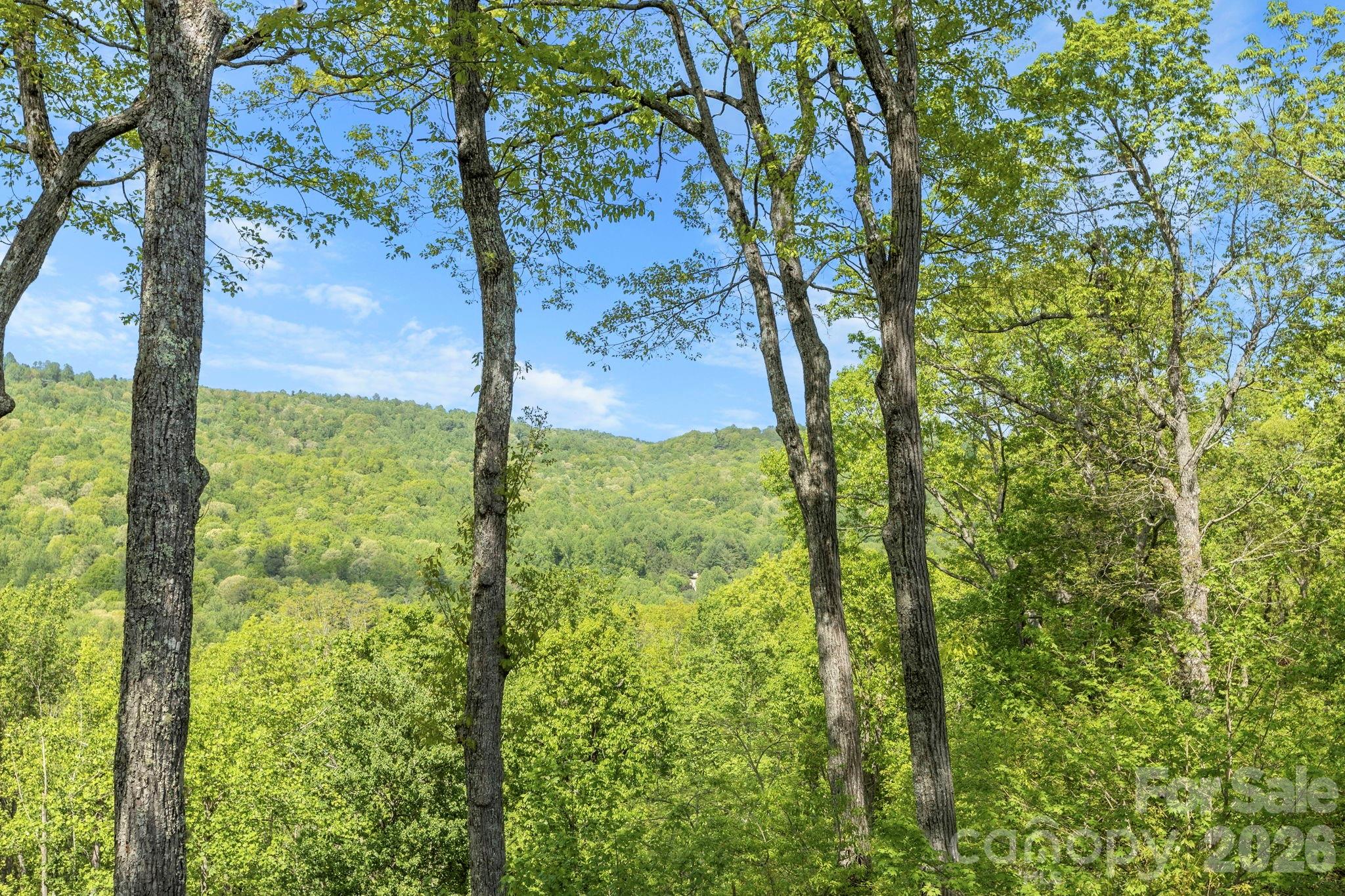8 Spring Ridge Lane