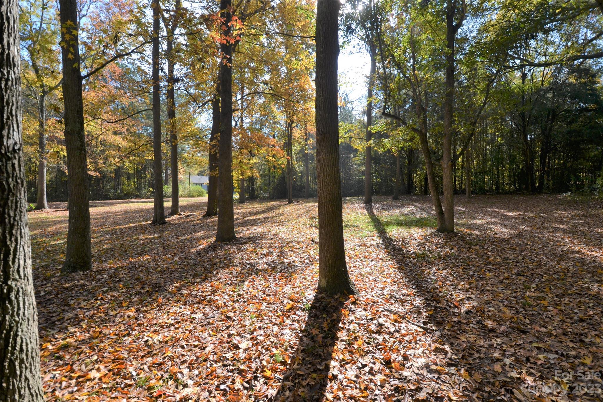 Worthwood - Residential