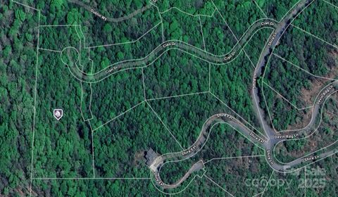 Photo of 0 Cian Drive #12, Rutherfordton, NC 28139 (MLS # 4327801)