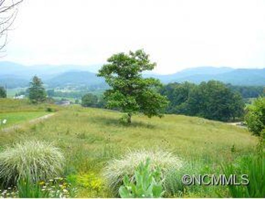 Beautiful gently rolling land with about 270 degree outstanding views!. Restricted neighborhood with several high end, high quality  designed and built homes. Existing well and perked previously for 4 bedroom. Easy, paved access to highway Alt-74 - minutes to Asheville or Lake Lure. Minutes to airport via Cane Creek. Don't miss out on this gem!