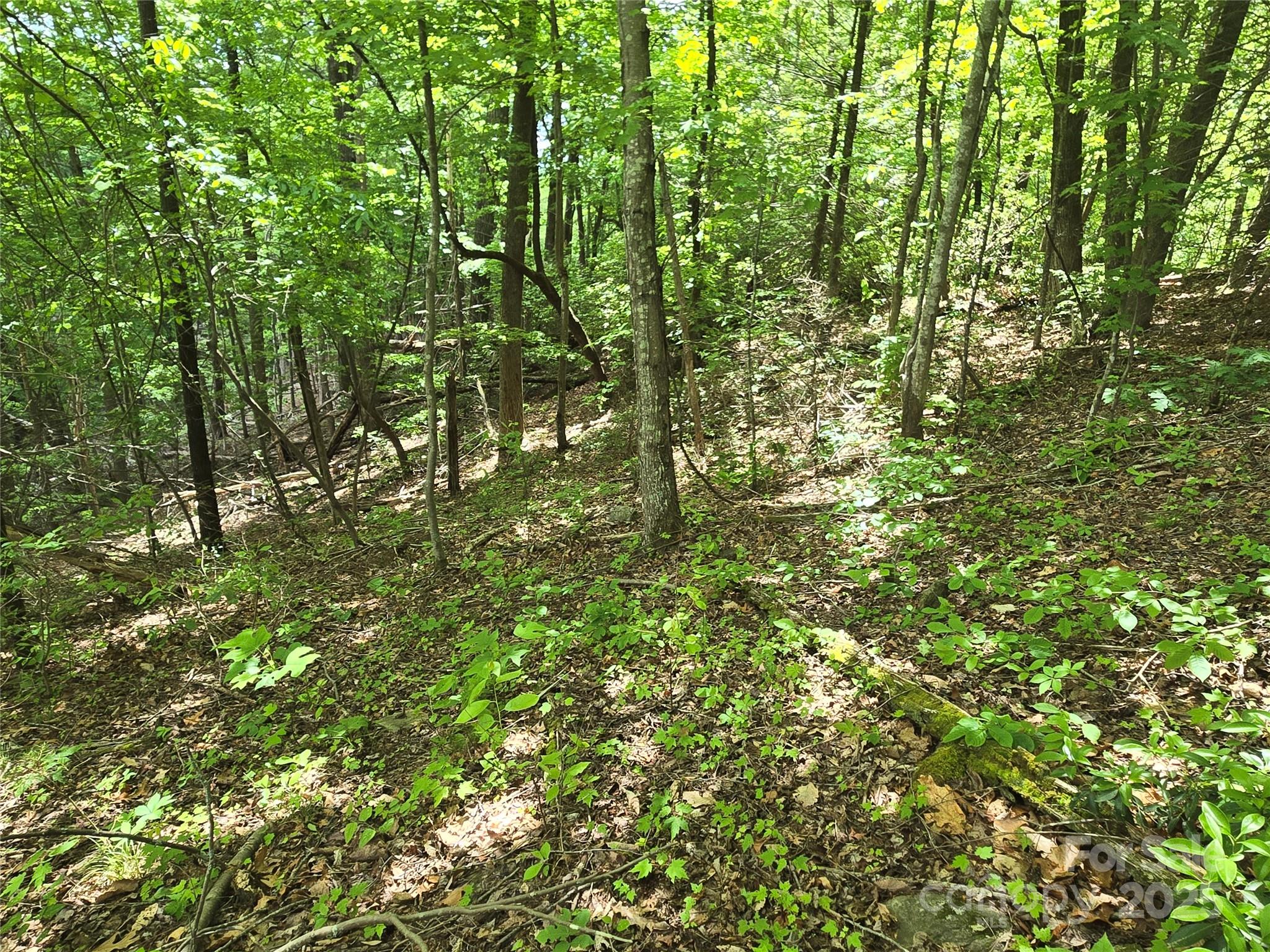 Lot 230 Swallow Lane