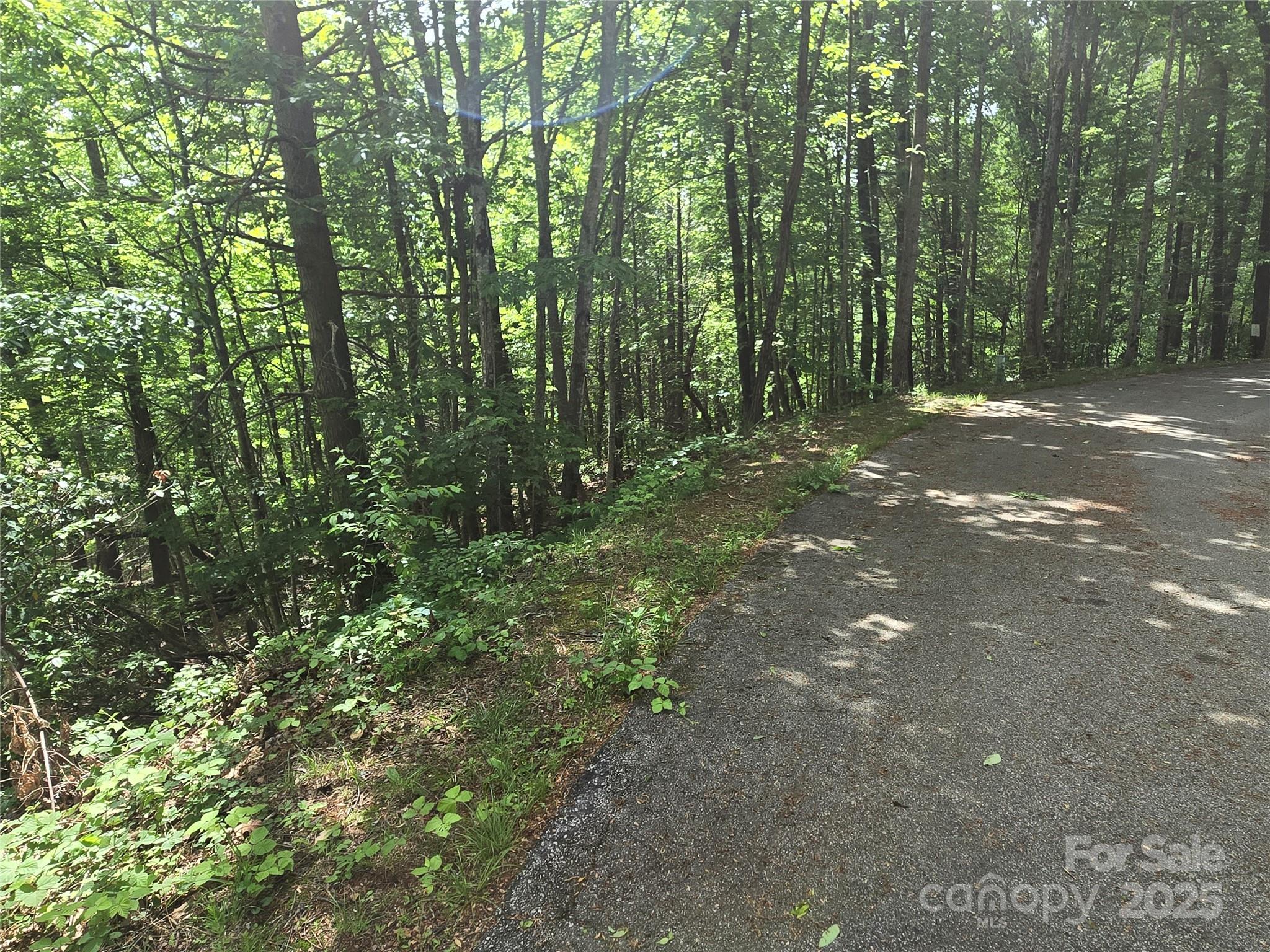 Rumbling Bald on Lake Lure - Land