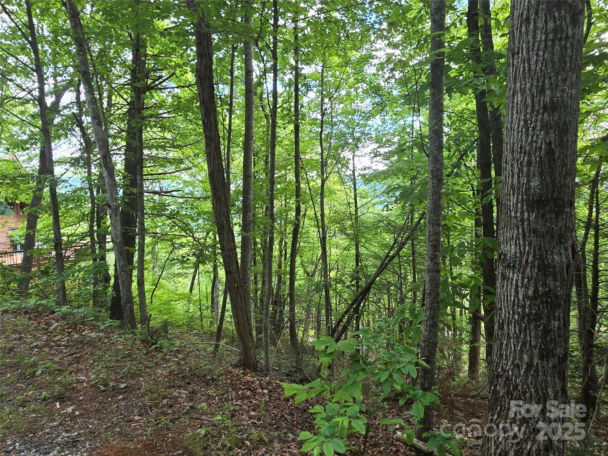 Lot 230 Swallow Lane