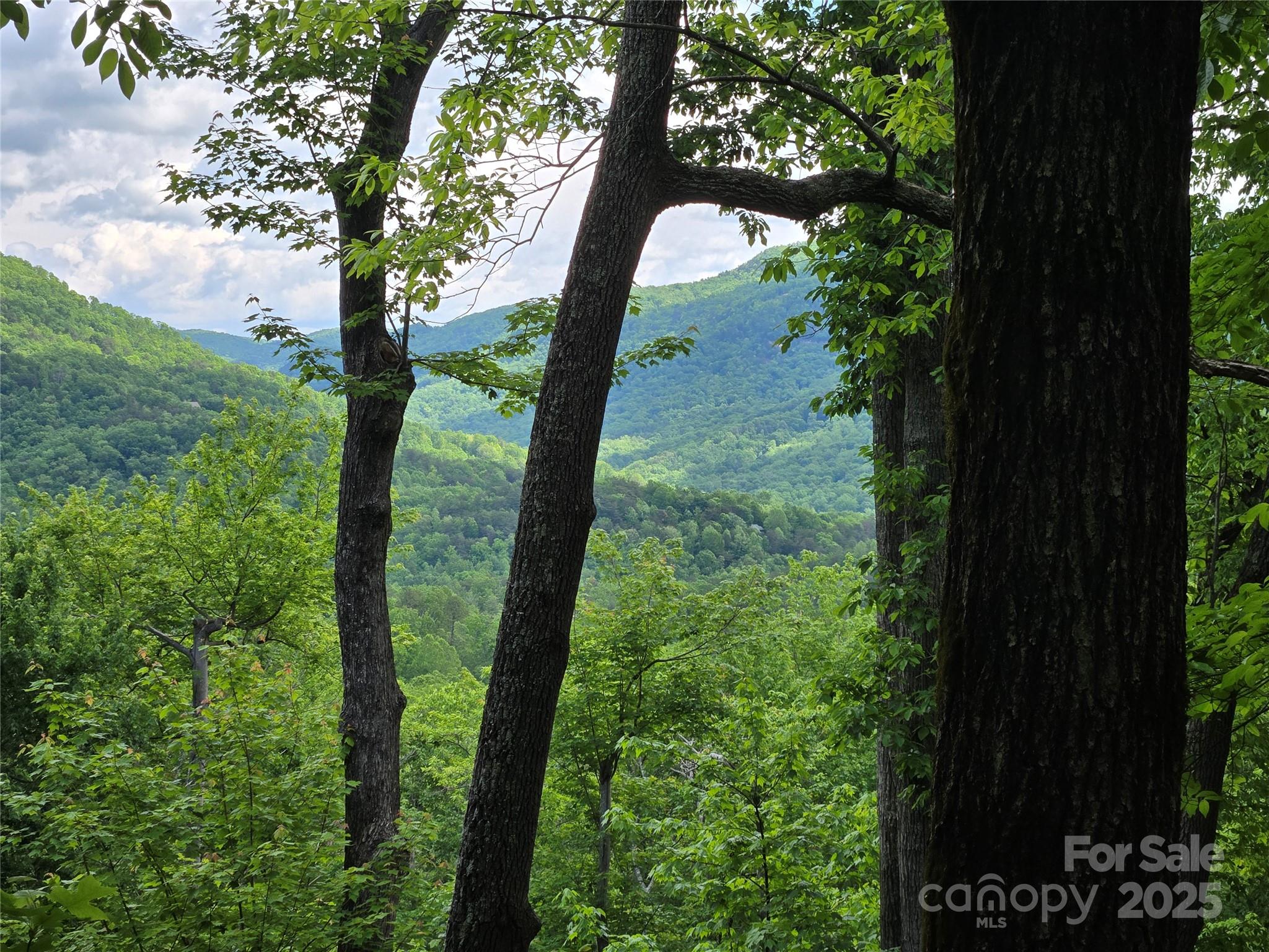 Rumbling Bald on Lake Lure - Land