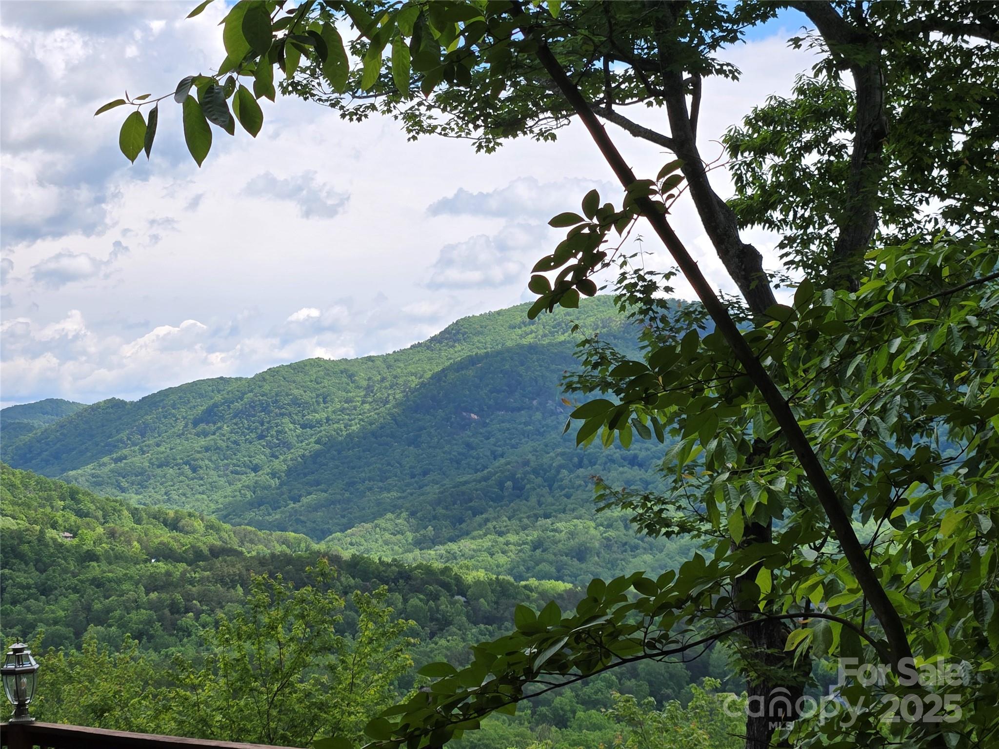 Rumbling Bald on Lake Lure - Land
