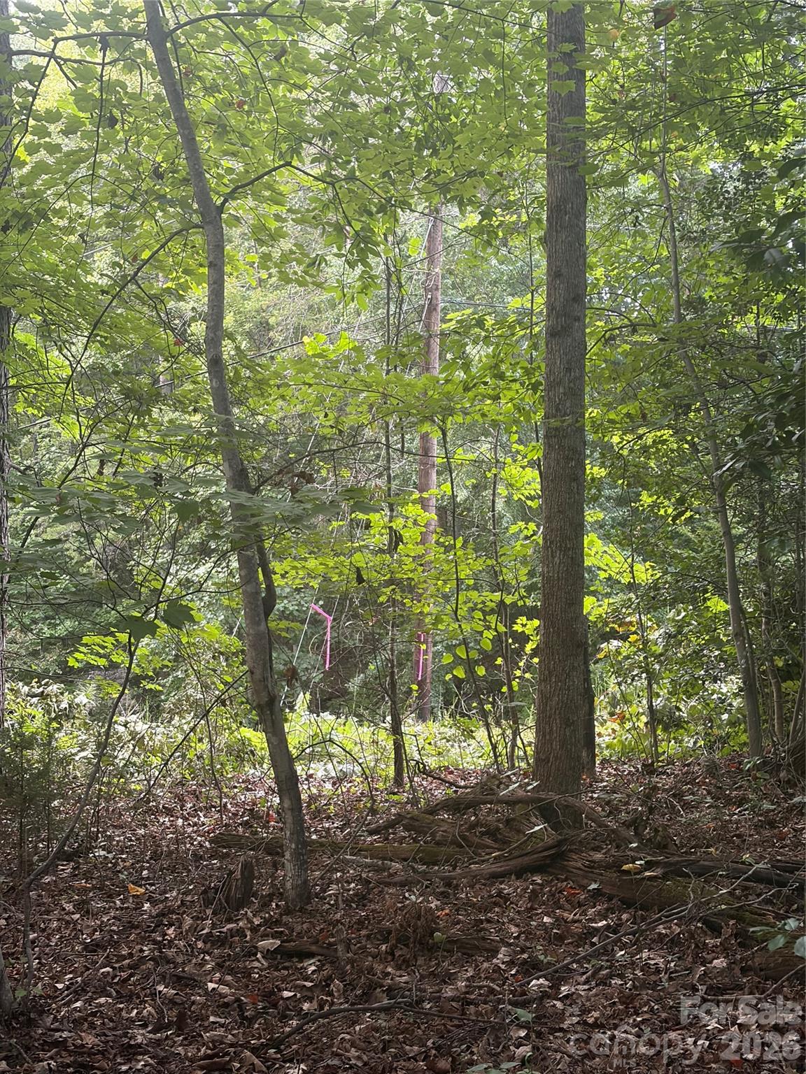 Lot 5 Edgewood Road